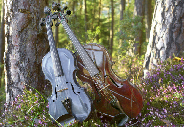 "Blaue Violine" und "Waldbratsche" 2007 Dieter Ennemoser